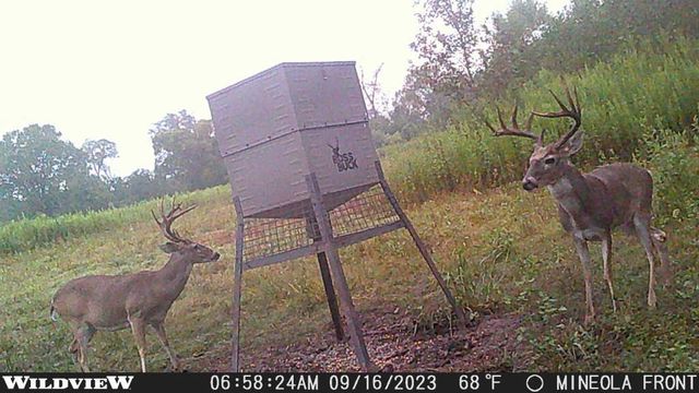 3222 FM 1254, Mineola, TX 75773