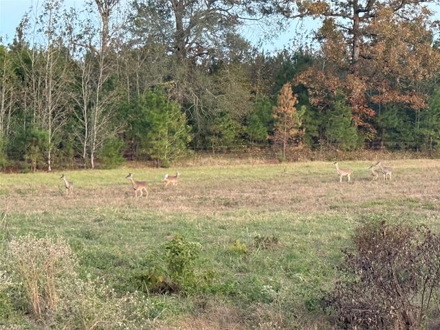 3222 FM 1254, Mineola, TX 75773