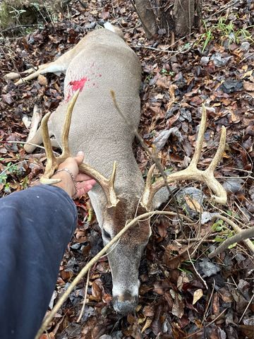 3222 FM 1254, Mineola, TX 75773