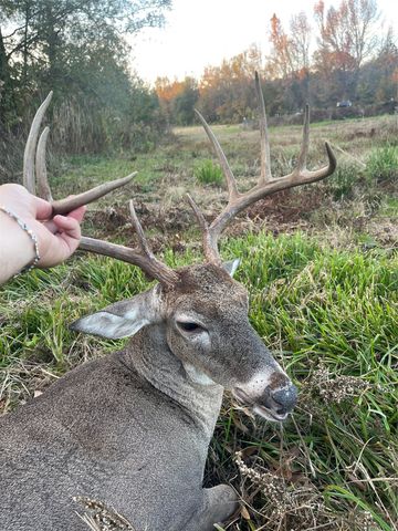 3222 FM 1254, Mineola, TX 75773