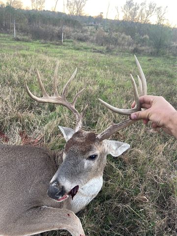 3222 FM 1254, Mineola, TX 75773