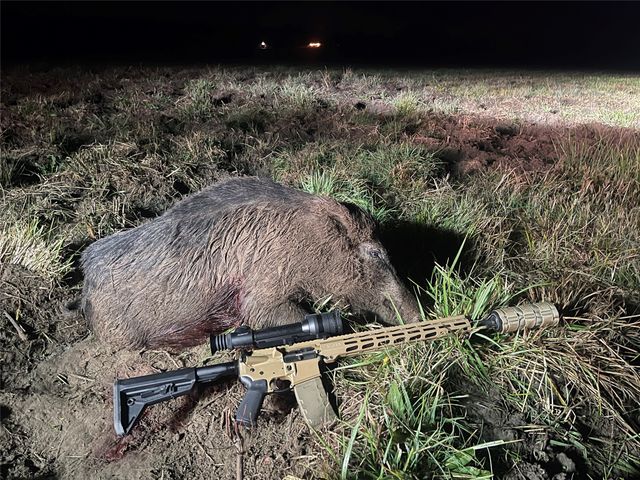 3222 FM 1254, Mineola, TX 75773