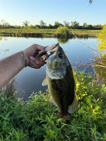 3222 FM 1254, Mineola, TX 75773