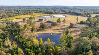 3222 FM 1254, Mineola, TX 75773