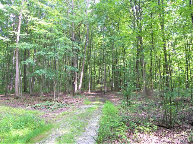 19449 US-12, New Buffalo, MI 49117