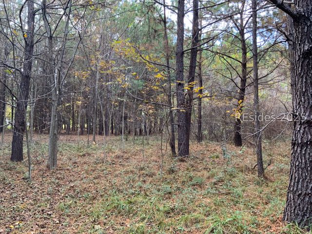 33 Pearl Harbour Dr, St Helena Island, SC 29920