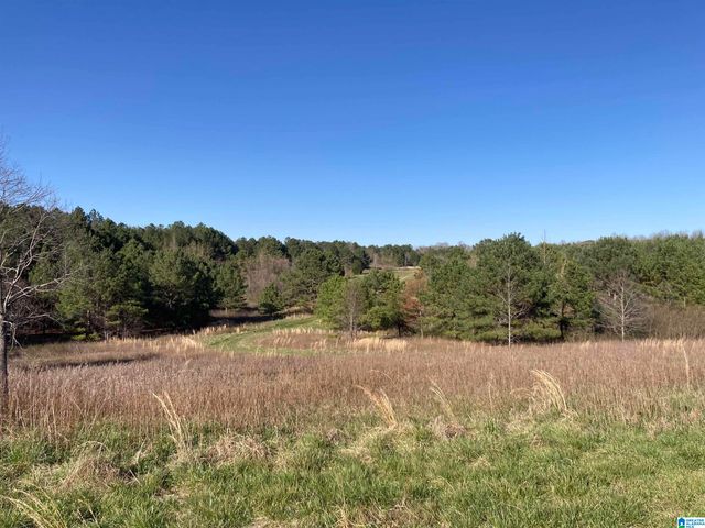 2362 JONES CHAPEL ROAD, Springville, AL 35146