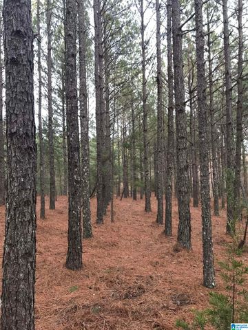 2362 JONES CHAPEL ROAD, Springville, AL 35146