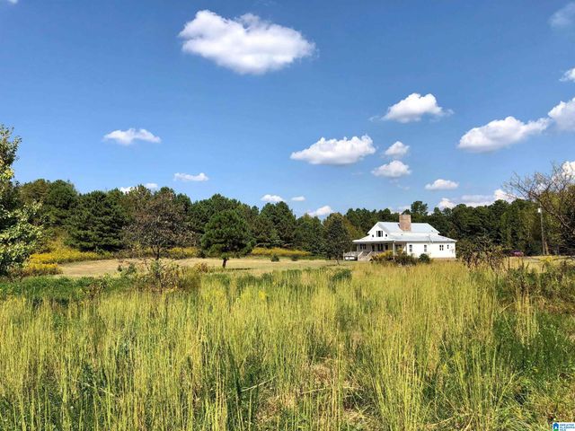 2362 JONES CHAPEL ROAD, Springville, AL 35146