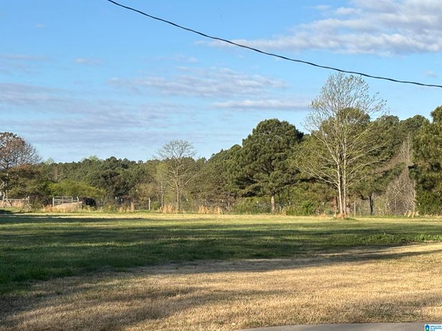 2362 JONES CHAPEL ROAD, Springville, AL 35146