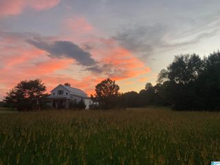 2362 JONES CHAPEL ROAD, Springville, AL 35146