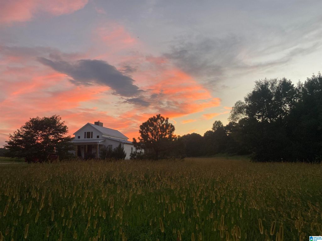 2362 JONES CHAPEL ROAD, Springville, AL 35146