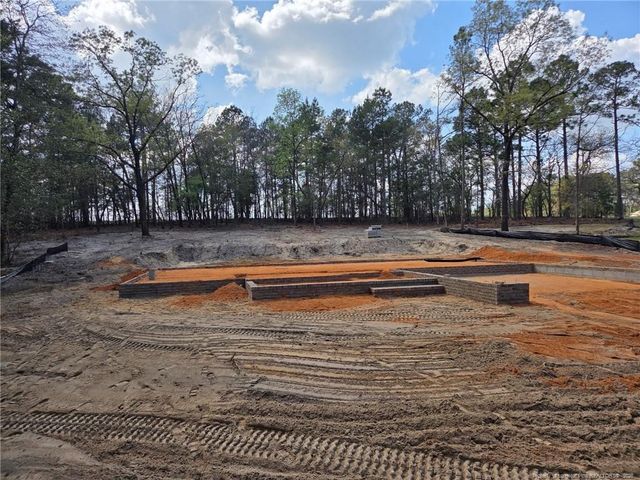 308 Chestnut Drive, Vass, NC 28394
