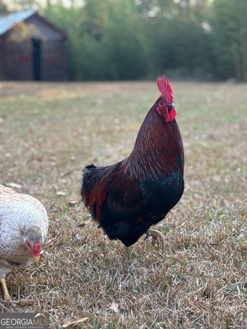 951 Elder Road, Griffin, GA 30223