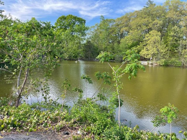 1105 Lexington Street 8-6, Waltham, MA 02452