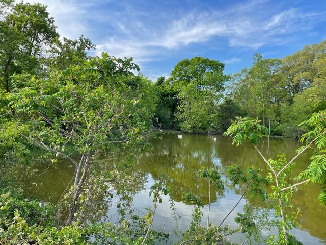1105 Lexington Street 8-6, Waltham, MA 02452