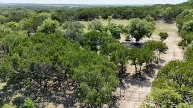 3923 County Road 1007, Glen Rose, TX 76043