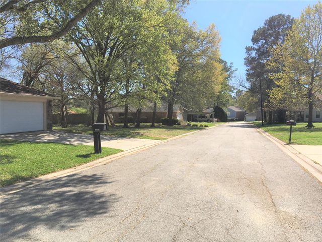 12944 Orion Court E, Willis, TX 77318