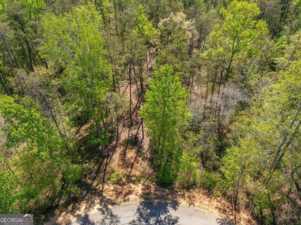 0 ORCHARD DR LO Orchard Drive, Clarkesville, GA 30523 — photo 5