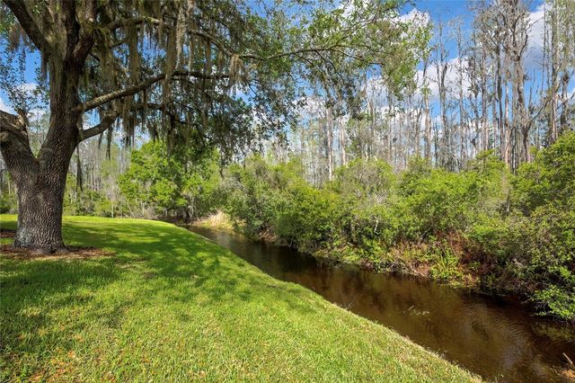 20841 EUSTIS ROAD, Land O Lakes, FL 34637