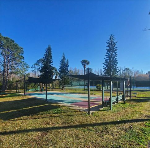20841 EUSTIS ROAD, Land O Lakes, FL 34637