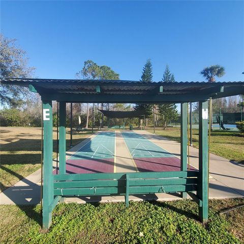 20841 EUSTIS ROAD, Land O Lakes, FL 34637