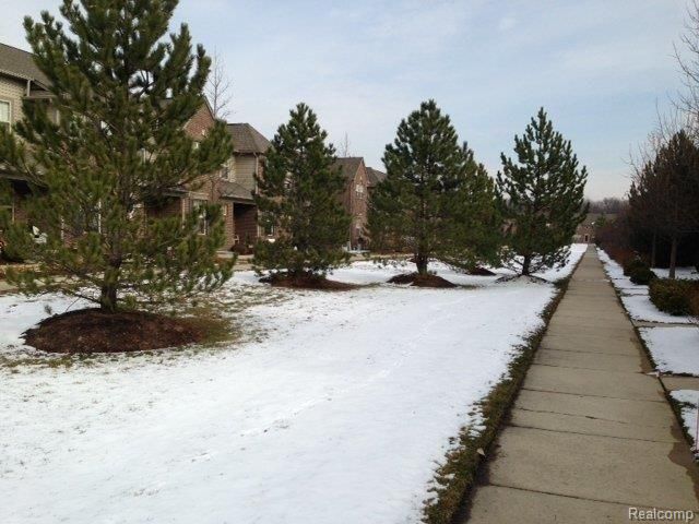 41290 Maplewood Drive, Canton Charter Township, MI 48187