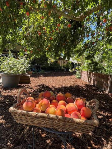 4038 E 3rd Ave, Napa, CA 94558