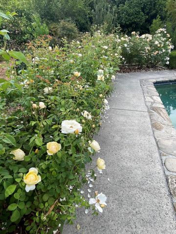 4038 E 3rd Ave, Napa, CA 94558