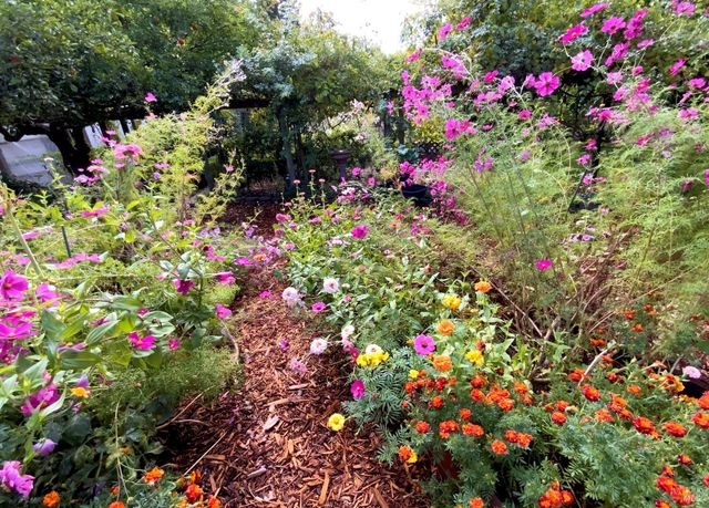 4038 E 3rd Ave, Napa, CA 94558