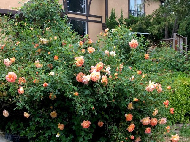 4038 E 3rd Ave, Napa, CA 94558