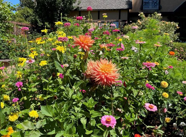 4038 E 3rd Ave, Napa, CA 94558