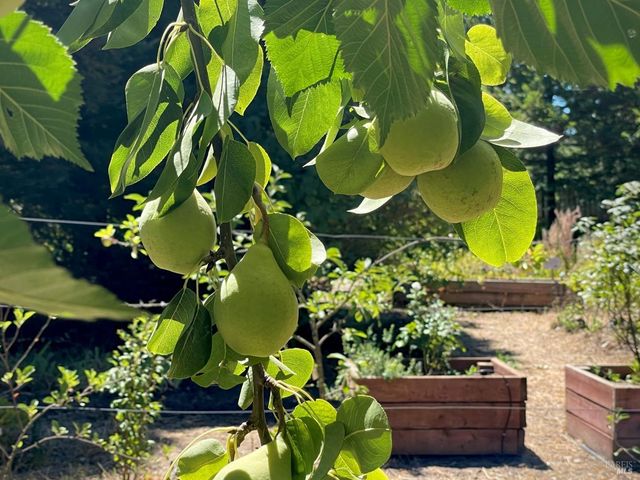 4038 E 3rd Ave, Napa, CA 94558