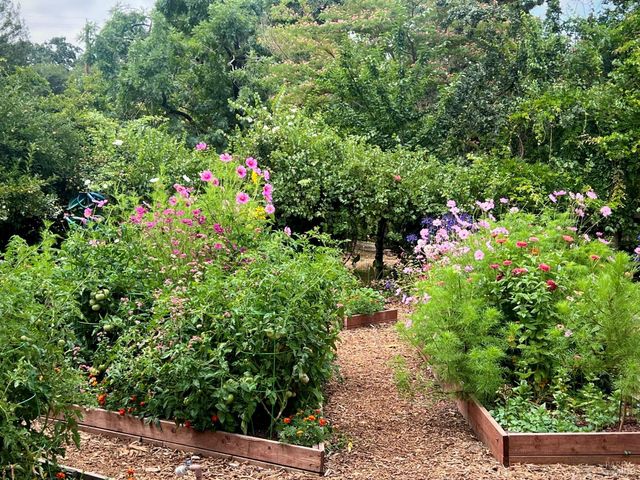 4038 E 3rd Ave, Napa, CA 94558