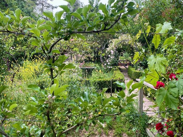 4038 E 3rd Ave, Napa, CA 94558