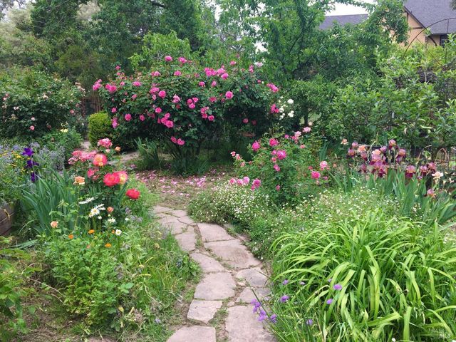 4038 E 3rd Ave, Napa, CA 94558