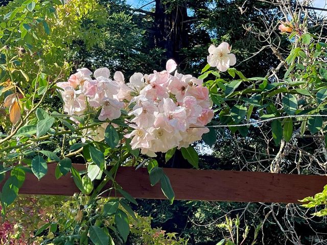 4038 E 3rd Ave, Napa, CA 94558