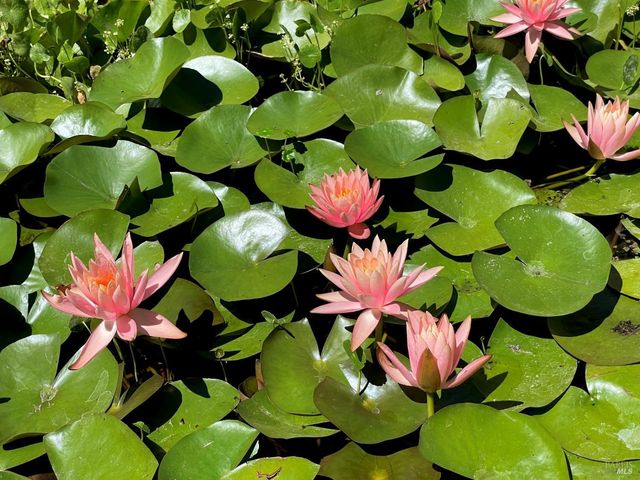 4038 E 3rd Ave, Napa, CA 94558