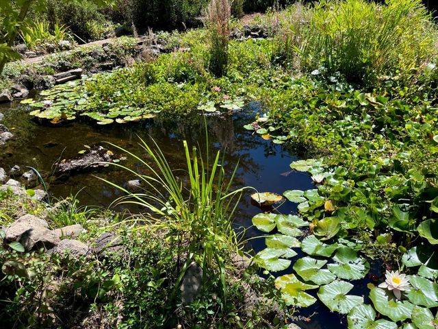 4038 E 3rd Ave, Napa, CA 94558