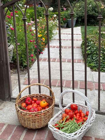 4038 E 3rd Ave, Napa, CA 94558