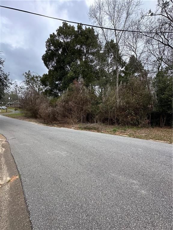 0 Weaver Drive, Eight Mile, AL 36613 — photo 4