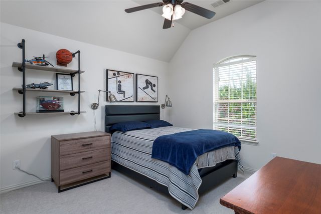 3817 Plum Vista Place, Arlington, TX 76005
