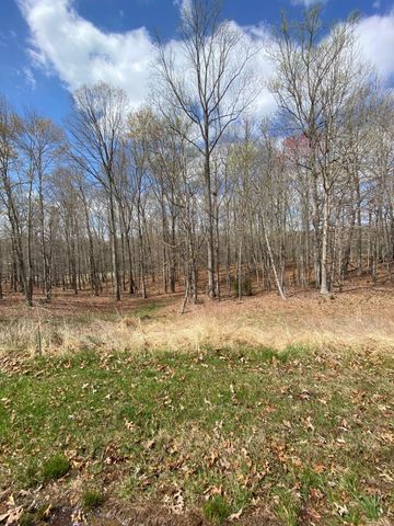 Lot 36 Smokehouse RD, Moneta, VA 24121