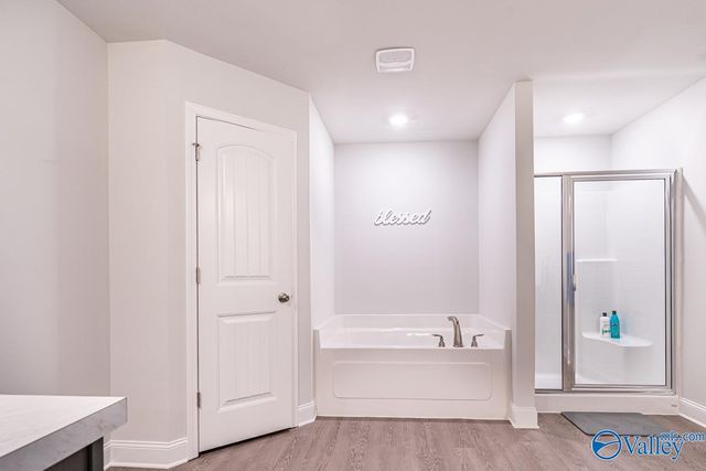 176 Tybee Drive, Madison, AL 35756