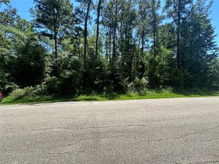 1815 Black Bear Drive, Houston, TX 77532
