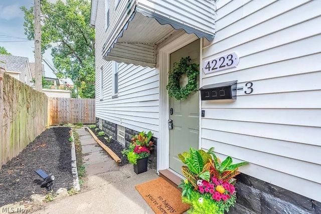 4223 Bridge Avenue, Cleveland, OH 44113