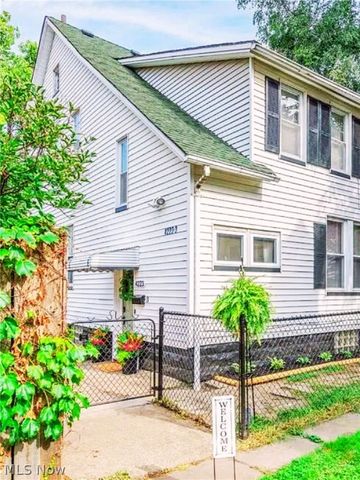 4223 Bridge Avenue, Cleveland, OH 44113