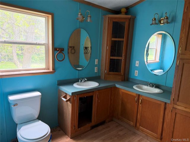 21 Hoffmann Street, Hankins, NY 12741