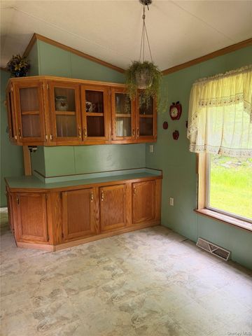 21 Hoffmann Street, Hankins, NY 12741