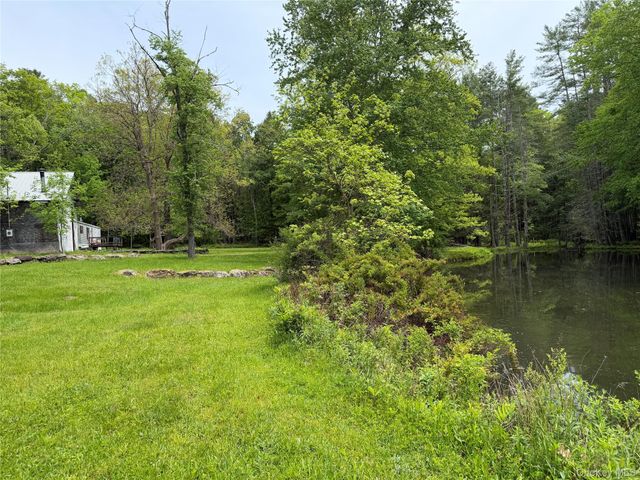 21 Hoffmann Street, Hankins, NY 12741